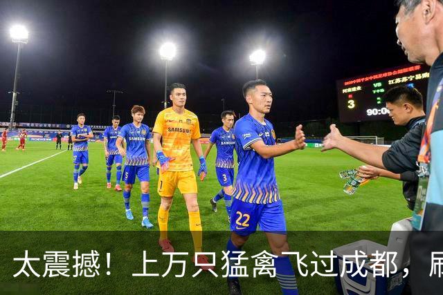 太震撼！上万只猛禽飞过成都，刷新本地纪录