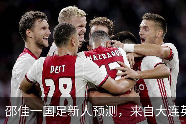 邵佳一国足新人预测，来自大连英博的他有望入选，值得期待